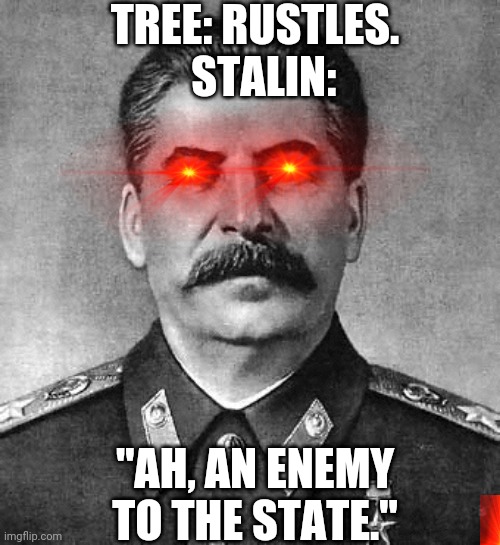 TREE: RUSTLES.   STALIN:; "AH, AN ENEMY TO THE STATE." | image tagged in stalin | made w/ Imgflip meme maker
