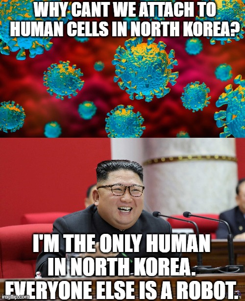 No humans in Nth Korea | WHY CANT WE ATTACH TO HUMAN CELLS IN NORTH KOREA? I'M THE ONLY HUMAN IN NORTH KOREA. EVERYONE ELSE IS A ROBOT. | image tagged in covid-19 | made w/ Imgflip meme maker