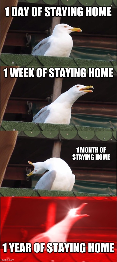 Inhaling Seagull | 1 DAY OF STAYING HOME; 1 WEEK OF STAYING HOME; 1 MONTH OF STAYING HOME; 1 YEAR OF STAYING HOME | image tagged in memes,inhaling seagull | made w/ Imgflip meme maker