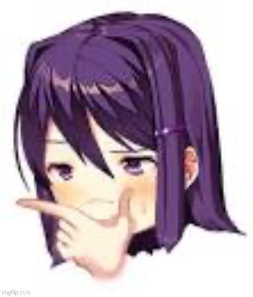 ｙｕｒｉ　ｄｏｅｓ　ｔｈｅ　ｔｈｏｎｋ | image tagged in thonking yuri,memes,yuri,ddlc | made w/ Imgflip meme maker