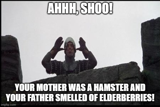 French Taunting in Monty Python's Holy Grail | AHHH, SHOO! YOUR MOTHER WAS A HAMSTER AND YOUR FATHER SMELLED OF ELDERBERRIES! | image tagged in french taunting in monty python's holy grail | made w/ Imgflip meme maker
