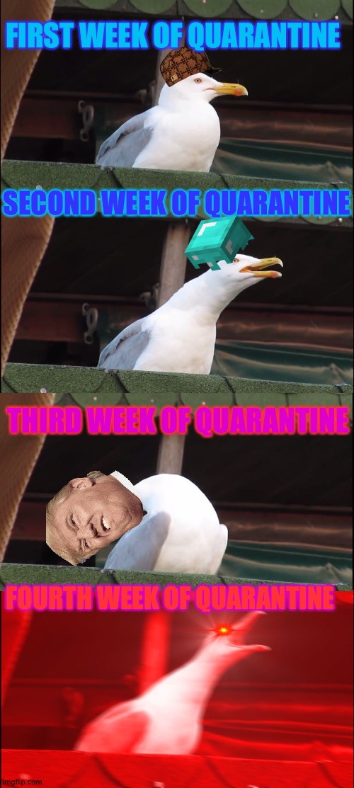 Inhaling Seagull | FIRST WEEK OF QUARANTINE; SECOND WEEK OF QUARANTINE; THIRD WEEK OF QUARANTINE; FOURTH WEEK OF QUARANTINE | image tagged in memes,inhaling seagull | made w/ Imgflip meme maker