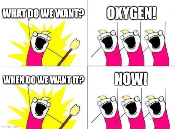What Do We Want Meme | WHAT DO WE WANT? OXYGEN! WHEN DO WE WANT IT? NOW! | image tagged in memes,what do we want | made w/ Imgflip meme maker