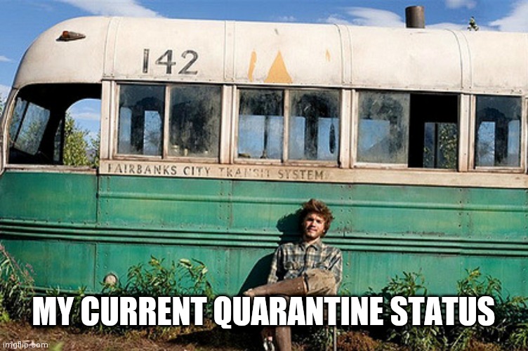Into the wild  | MY CURRENT QUARANTINE STATUS | image tagged in into the wild | made w/ Imgflip meme maker