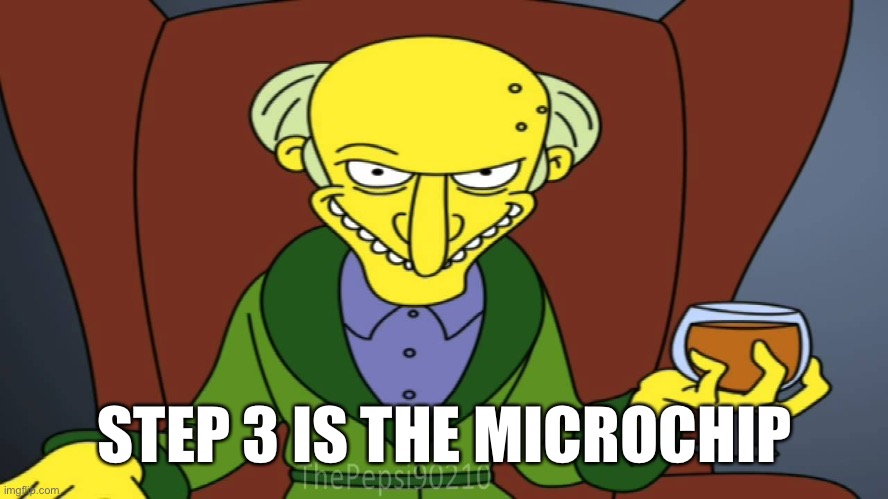 STEP 3 IS THE MICROCHIP | made w/ Imgflip meme maker