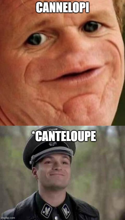 4 years ago I went to La Trobe University Australia with an African student who likewise couldn't pronounce cantaloupe properly | CANNELOPI; *CANTELOUPE | image tagged in grammar nazi,sosig,chef ramsay,pronunciation | made w/ Imgflip meme maker