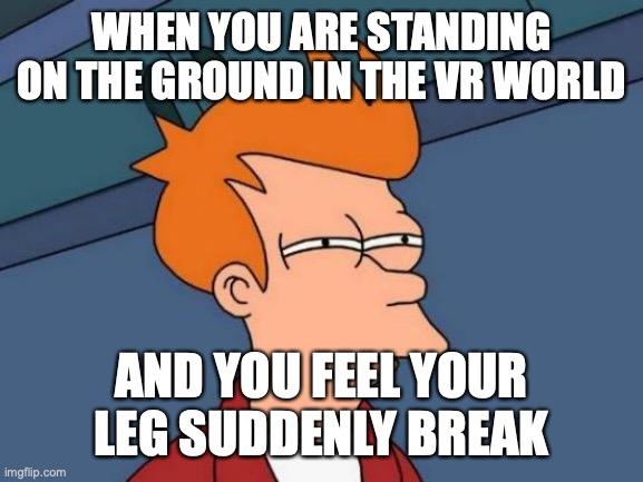 Futurama Fry Meme | WHEN YOU ARE STANDING ON THE GROUND IN THE VR WORLD AND YOU FEEL YOUR LEG SUDDENLY BREAK | image tagged in memes,futurama fry | made w/ Imgflip meme maker