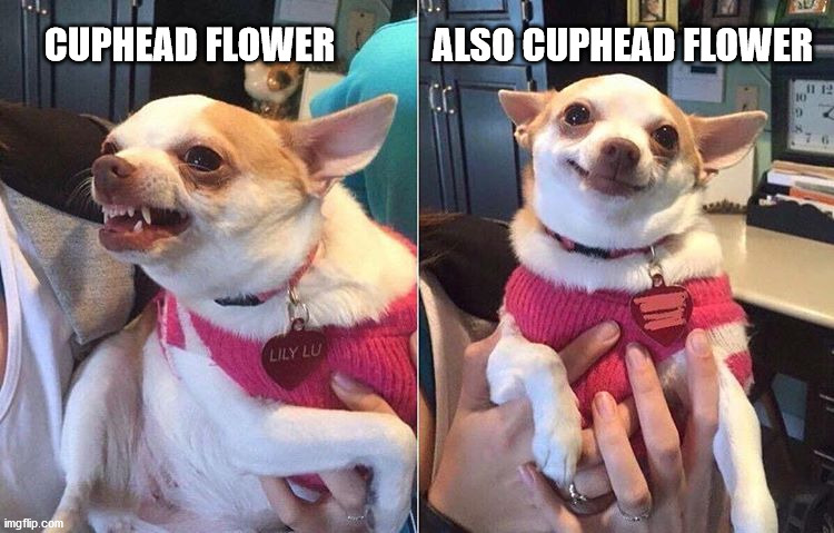 angry dog meme | ALSO CUPHEAD FLOWER; CUPHEAD FLOWER | image tagged in angry dog meme | made w/ Imgflip meme maker