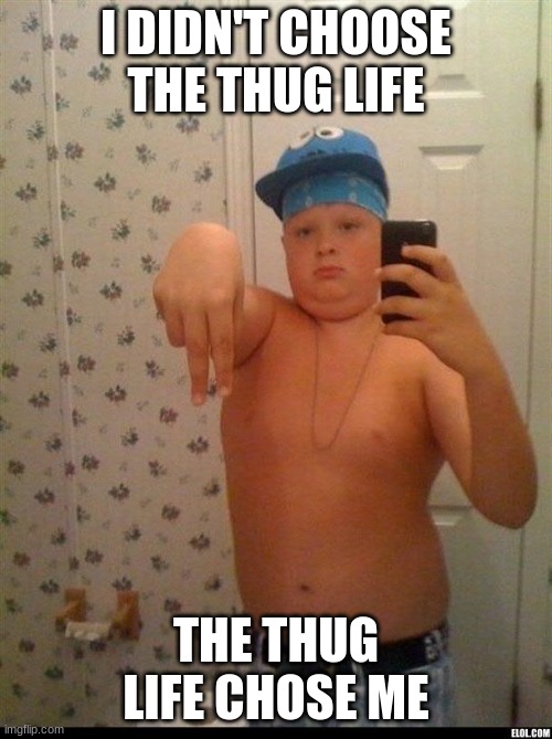 thug life | I DIDN'T CHOOSE THE THUG LIFE; THE THUG LIFE CHOSE ME | image tagged in thug life | made w/ Imgflip meme maker