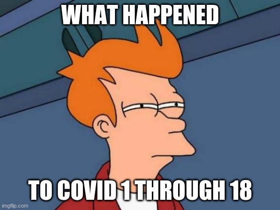 Futurama Fry | WHAT HAPPENED; TO COVID 1 THROUGH 18 | image tagged in memes,futurama fry | made w/ Imgflip meme maker