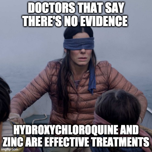 Bird Box Meme | DOCTORS THAT SAY THERE'S NO EVIDENCE; HYDROXYCHLOROQUINE AND ZINC ARE EFFECTIVE TREATMENTS | image tagged in memes,bird box | made w/ Imgflip meme maker