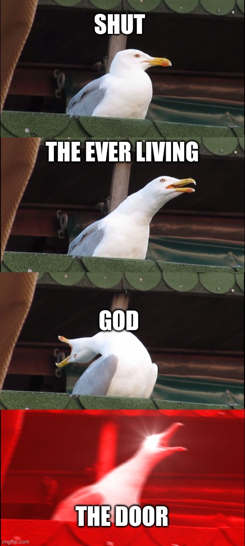 Inhaling Seagull | SHUT; THE EVER LIVING; GOD; THE DOOR | image tagged in memes,inhaling seagull | made w/ Imgflip meme maker