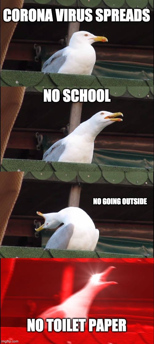 Inhaling Seagull Meme | CORONA VIRUS SPREADS; NO SCHOOL; NO GOING OUTSIDE; NO TOILET PAPER | image tagged in memes,inhaling seagull | made w/ Imgflip meme maker