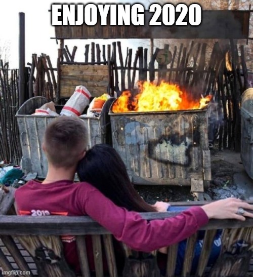 Dumpster Fire | ENJOYING 2020 | image tagged in dumpster fire | made w/ Imgflip meme maker