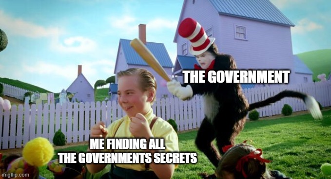 Cat & The Hat | THE GOVERNMENT; ME FINDING ALL THE GOVERNMENTS SECRETS | image tagged in cat  the hat | made w/ Imgflip meme maker