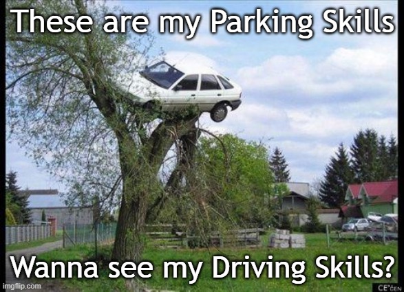 car in tree | These are my Parking Skills; Wanna see my Driving Skills? | image tagged in car in tree | made w/ Imgflip meme maker