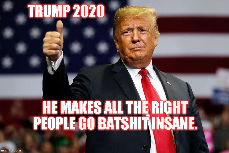 Trump 2020 | TRUMP 2020; HE MAKES ALL THE RIGHT PEOPLE GO BATSHIT INSANE. | image tagged in trump,tds | made w/ Imgflip meme maker