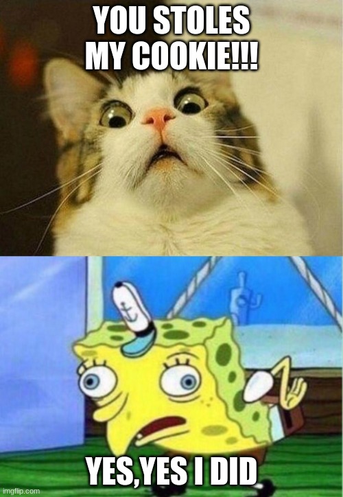 YOU STOLES MY COOKIE!!! YES,YES I DID | image tagged in memes,scared cat,mocking spongebob | made w/ Imgflip meme maker