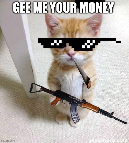 Cute Cat | GEE ME YOUR MONEY | image tagged in memes,cute cat | made w/ Imgflip meme maker