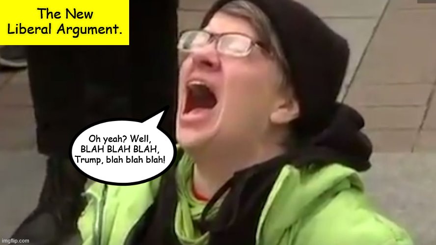 Screaming Liberal  | The New Liberal Argument. Oh yeah? Well, BLAH BLAH BLAH, Trump, blah blah blah! | image tagged in screaming liberal | made w/ Imgflip meme maker