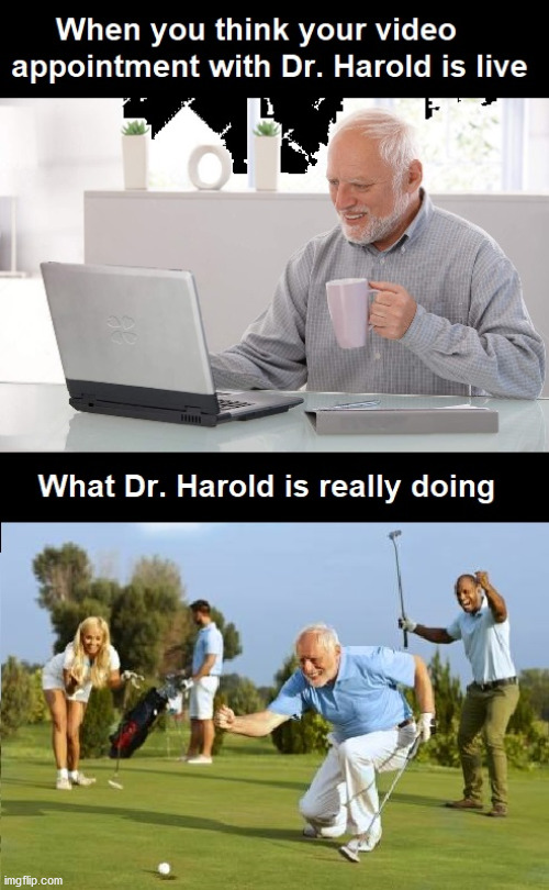 ... | image tagged in harold,funny memes | made w/ Imgflip meme maker