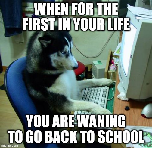 I Have No Idea What I Am Doing | WHEN FOR THE FIRST IN YOUR LIFE; YOU ARE WANING TO GO BACK TO SCHOOL | image tagged in memes,i have no idea what i am doing | made w/ Imgflip meme maker