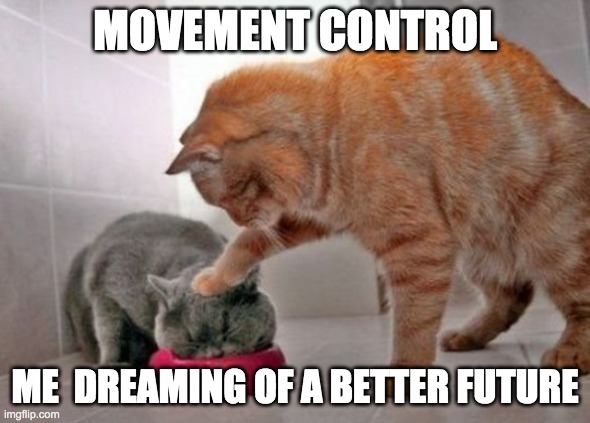 Force feed cat | MOVEMENT CONTROL; ME  DREAMING OF A BETTER FUTURE | image tagged in force feed cat | made w/ Imgflip meme maker