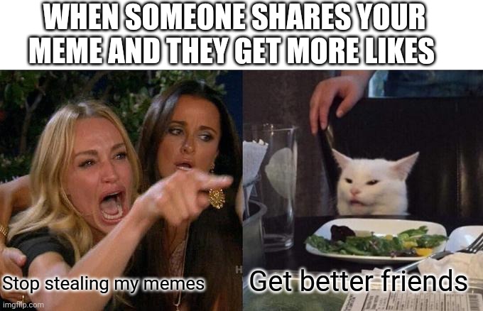 Woman Yelling At Cat | WHEN SOMEONE SHARES YOUR MEME AND THEY GET MORE LIKES; Get better friends; Stop stealing my memes | image tagged in memes,woman yelling at cat | made w/ Imgflip meme maker