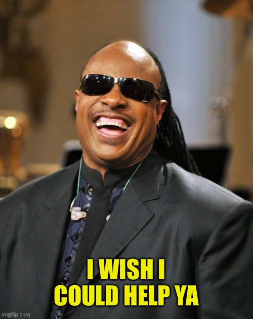 Stevie Wonder | I WISH I COULD HELP YA | image tagged in stevie wonder | made w/ Imgflip meme maker