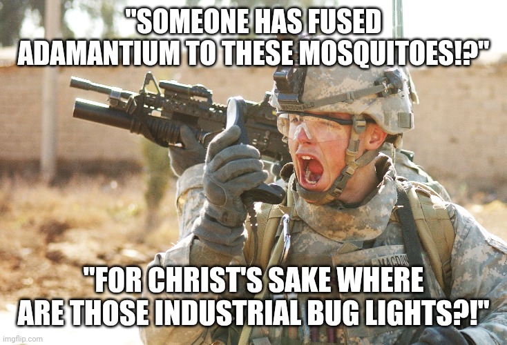 If the Marvel Universe was reality, it would only be a matter of time before this happened. | "SOMEONE HAS FUSED ADAMANTIUM TO THESE MOSQUITOES!?"; "FOR CHRIST'S SAKE WHERE ARE THOSE INDUSTRIAL BUG LIGHTS?!" | image tagged in us army soldier yelling radio iraq war,marvel,mosquitoes | made w/ Imgflip meme maker