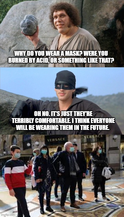 WHY DO YOU WEAR A MASK? WERE YOU BURNED BY ACID, OR SOMETHING LIKE THAT? OH NO. IT’S JUST THEY’RE TERRIBLY COMFORTABLE. I THINK EVERYONE WILL BE WEARING THEM IN THE FUTURE. | image tagged in princess bride,face mask | made w/ Imgflip meme maker