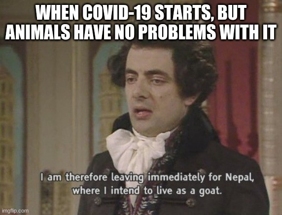 I am therefore leaving immediately for Nepal | WHEN COVID-19 STARTS, BUT ANIMALS HAVE NO PROBLEMS WITH IT | image tagged in i am therefore leaving immediately for nepal | made w/ Imgflip meme maker