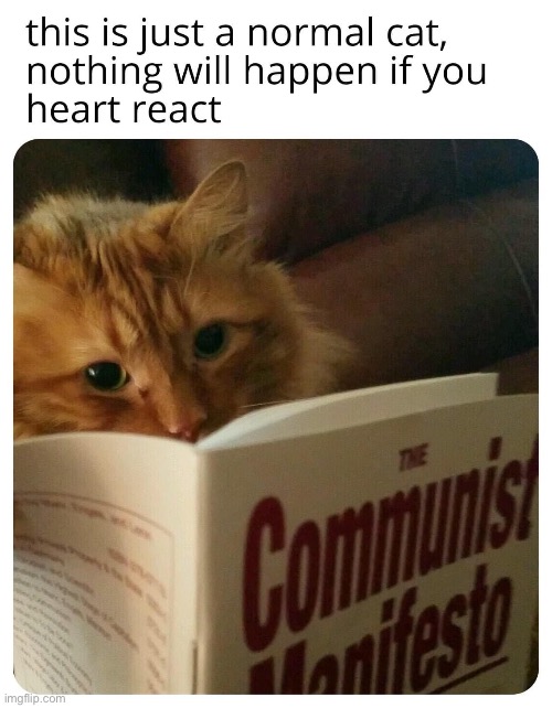 Trying to make The Communist Manifesto cute and cuddly? Cringe. | image tagged in communism,communist,cringe,cats,cat,leftist | made w/ Imgflip meme maker