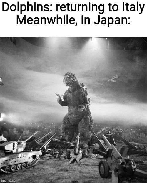 Godzilla surrounded | Dolphins: returning to Italy
Meanwhile, in Japan: | image tagged in godzilla surrounded | made w/ Imgflip meme maker