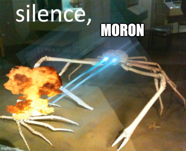 Silence Crab | MORON | image tagged in silence crab | made w/ Imgflip meme maker