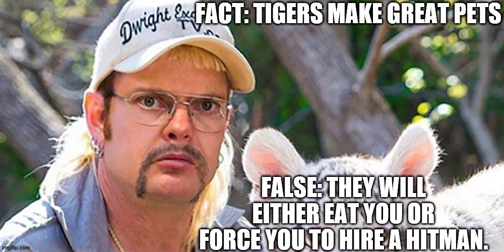 Dwight Exotic | FACT: TIGERS MAKE GREAT PETS; FALSE: THEY WILL EITHER EAT YOU OR FORCE YOU TO HIRE A HITMAN. | image tagged in fun | made w/ Imgflip meme maker