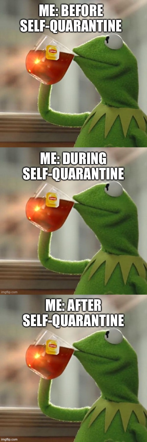 ME: BEFORE SELF-QUARANTINE; ME: DURING SELF-QUARANTINE; ME: AFTER SELF-QUARANTINE | image tagged in memes,but that's none of my business | made w/ Imgflip meme maker