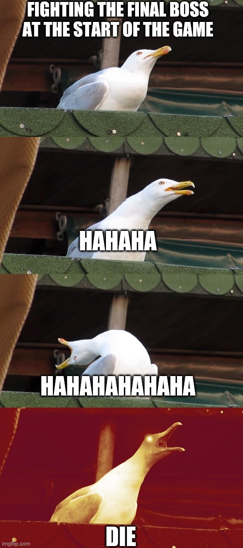 Laughing seagull | FIGHTING THE FINAL BOSS AT THE START OF THE GAME; HAHAHA; HAHAHAHAHAHA; DIE | image tagged in laughing seagull | made w/ Imgflip meme maker