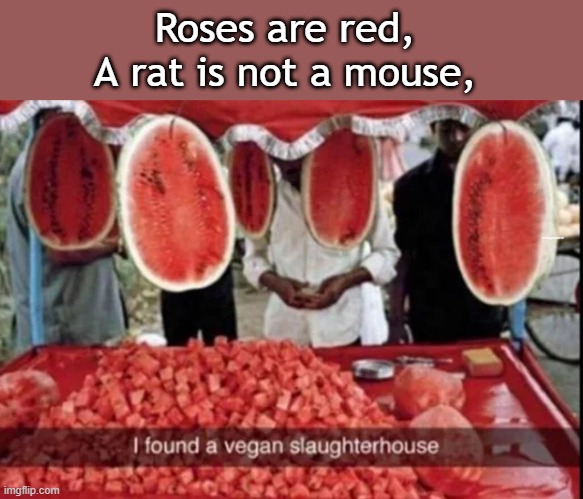 uhh | Roses are red,
A rat is not a mouse, u/Gangster8192 | image tagged in roses are red,funny memes,memes,dank memes | made w/ Imgflip meme maker