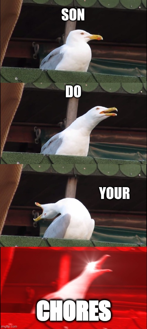 Inhaling Seagull | SON; DO; YOUR; CHORES | image tagged in memes,inhaling seagull | made w/ Imgflip meme maker