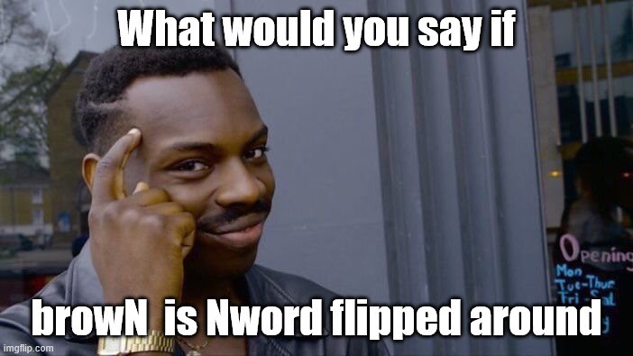 Roll Safe Think About It | What would you say if; browN  is Nword flipped around | image tagged in memes,roll safe think about it | made w/ Imgflip meme maker