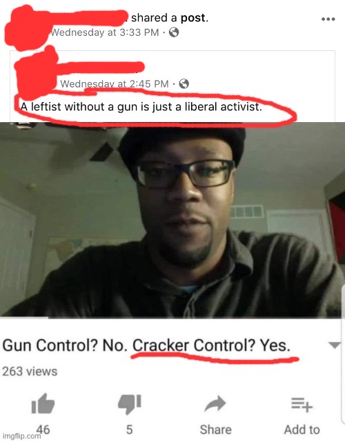 They say gun control is “Leftist,” but the real Leftists want to use the guns to take over. | image tagged in gun control,guns,leftists,leftist,violence is never the answer,cringe | made w/ Imgflip meme maker