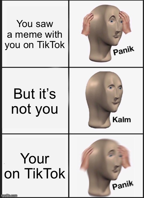 Panik Kalm Panik Meme | You saw a meme with you on TikTok; But it’s not you; Your on TikTok | image tagged in memes,panik kalm panik | made w/ Imgflip meme maker