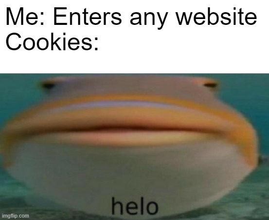 helo | Me: Enters any website
Cookies: | image tagged in helo | made w/ Imgflip meme maker