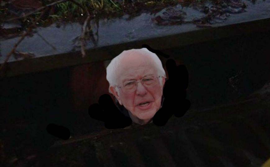 Bernie in Sewer Blank Meme Template