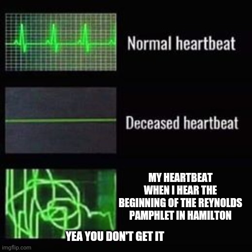 heartbeat rate | MY HEARTBEAT WHEN I HEAR THE BEGINNING OF THE REYNOLDS PAMPHLET IN HAMILTON; YEA YOU DON'T GET IT | image tagged in heartbeat rate | made w/ Imgflip meme maker