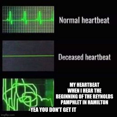heartbeat rate | MY HEARTBEAT WHEN I HEAR THE BEGINNING OF THE REYNOLDS PAMPHLET IN HAMILTON; YEA YOU DON'T GET IT | image tagged in heartbeat rate | made w/ Imgflip meme maker