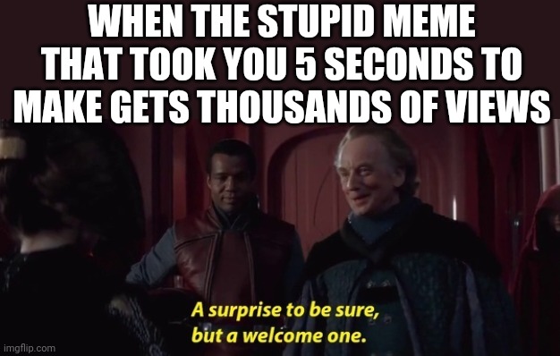 A Surprise to be sure | WHEN THE STUPID MEME THAT TOOK YOU 5 SECONDS TO MAKE GETS THOUSANDS OF VIEWS | image tagged in a surprise to be sure,memes,imgflip | made w/ Imgflip meme maker