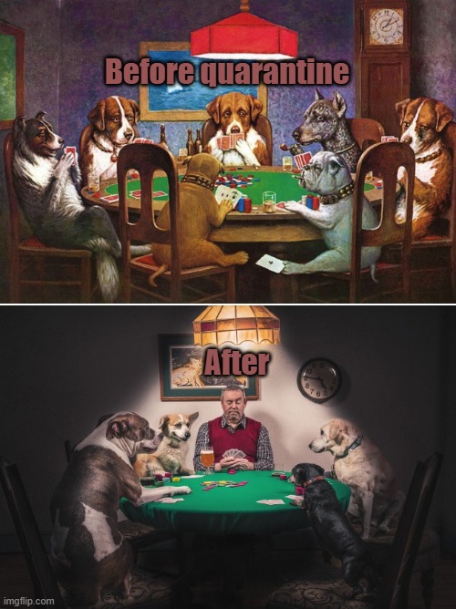 yep | Before quarantine; After | image tagged in lol | made w/ Imgflip meme maker