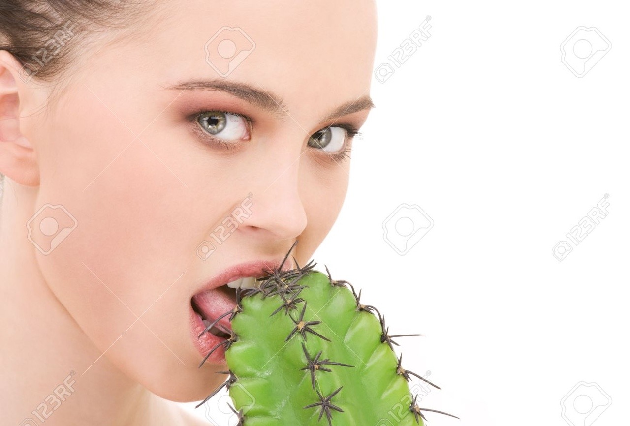High Quality Girl Eating Cactus Blank Meme Template